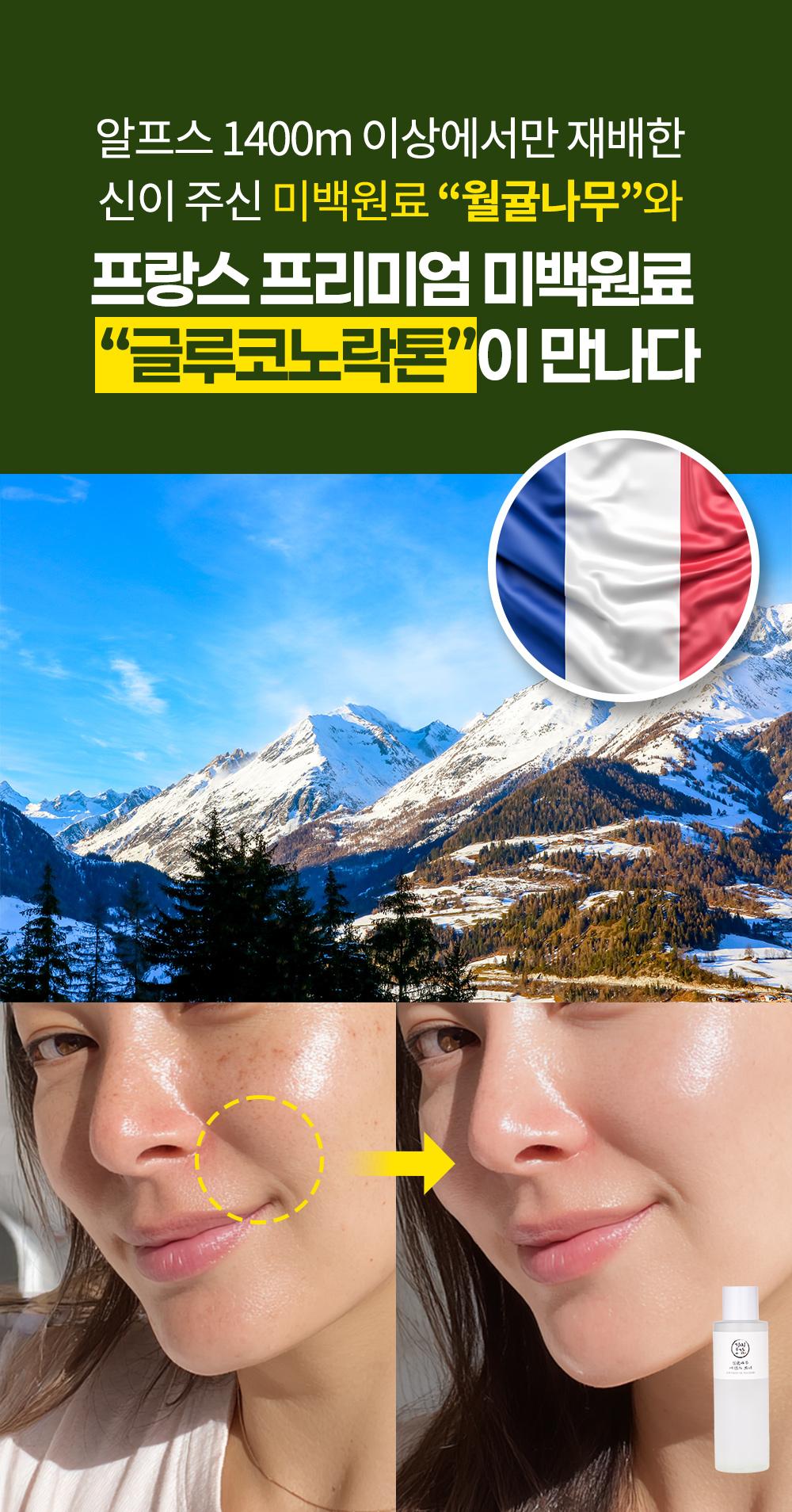 월귤4050_01.jpg