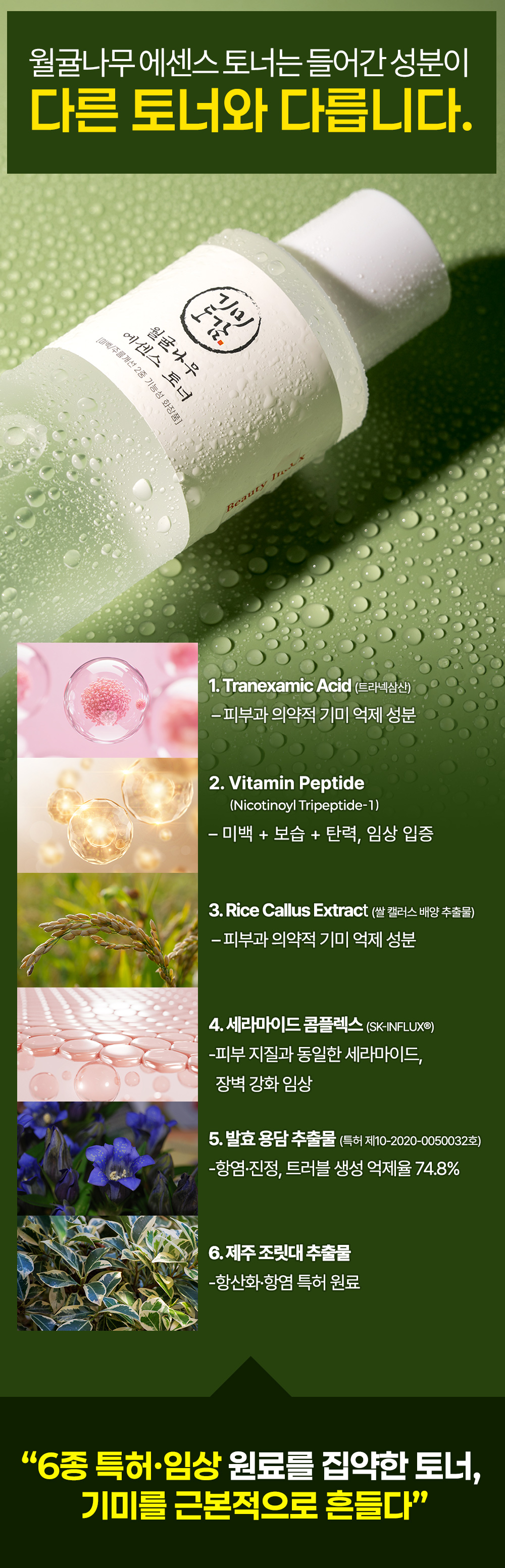 월귤4050_06.jpg