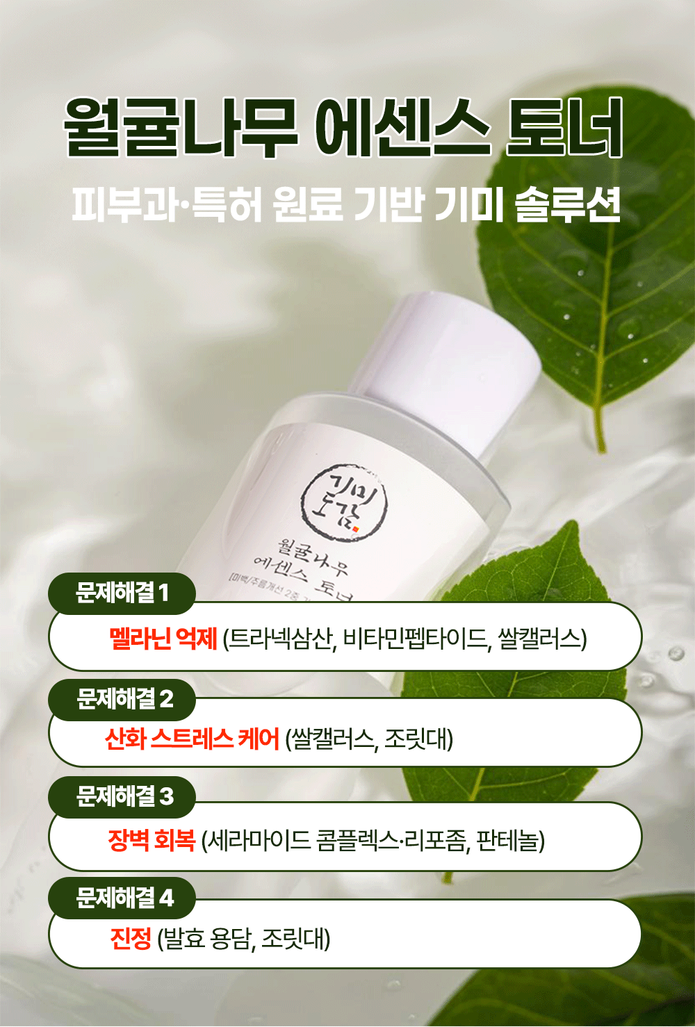 월귤4050_08.gif