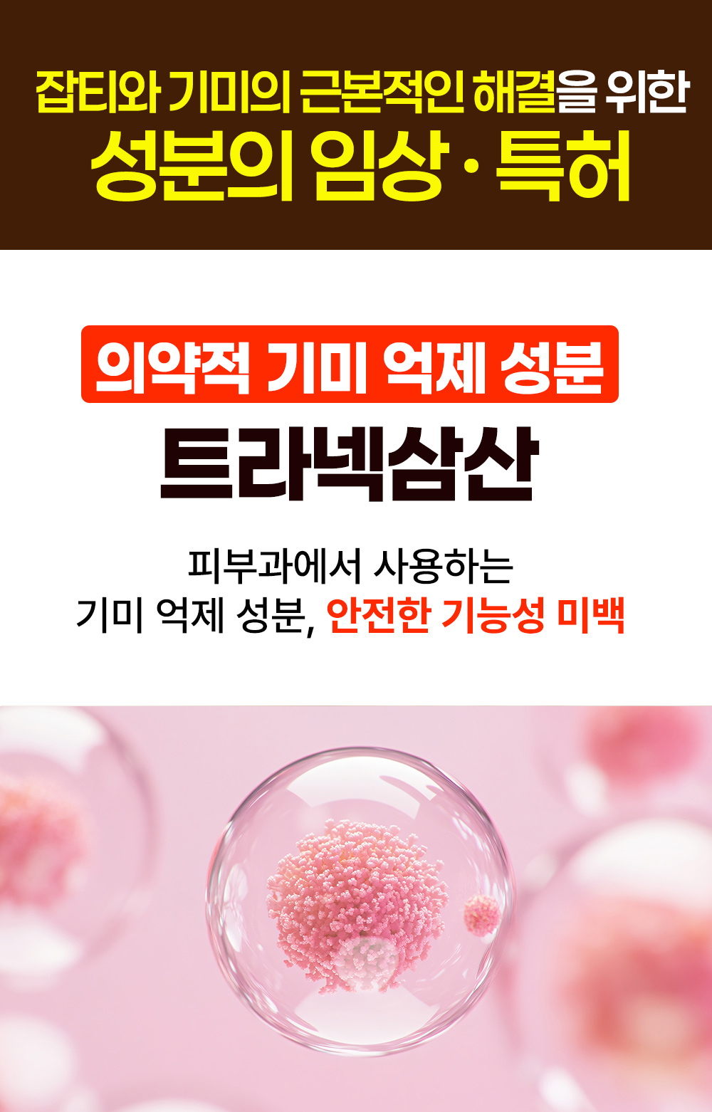 월귤4050_10.jpg