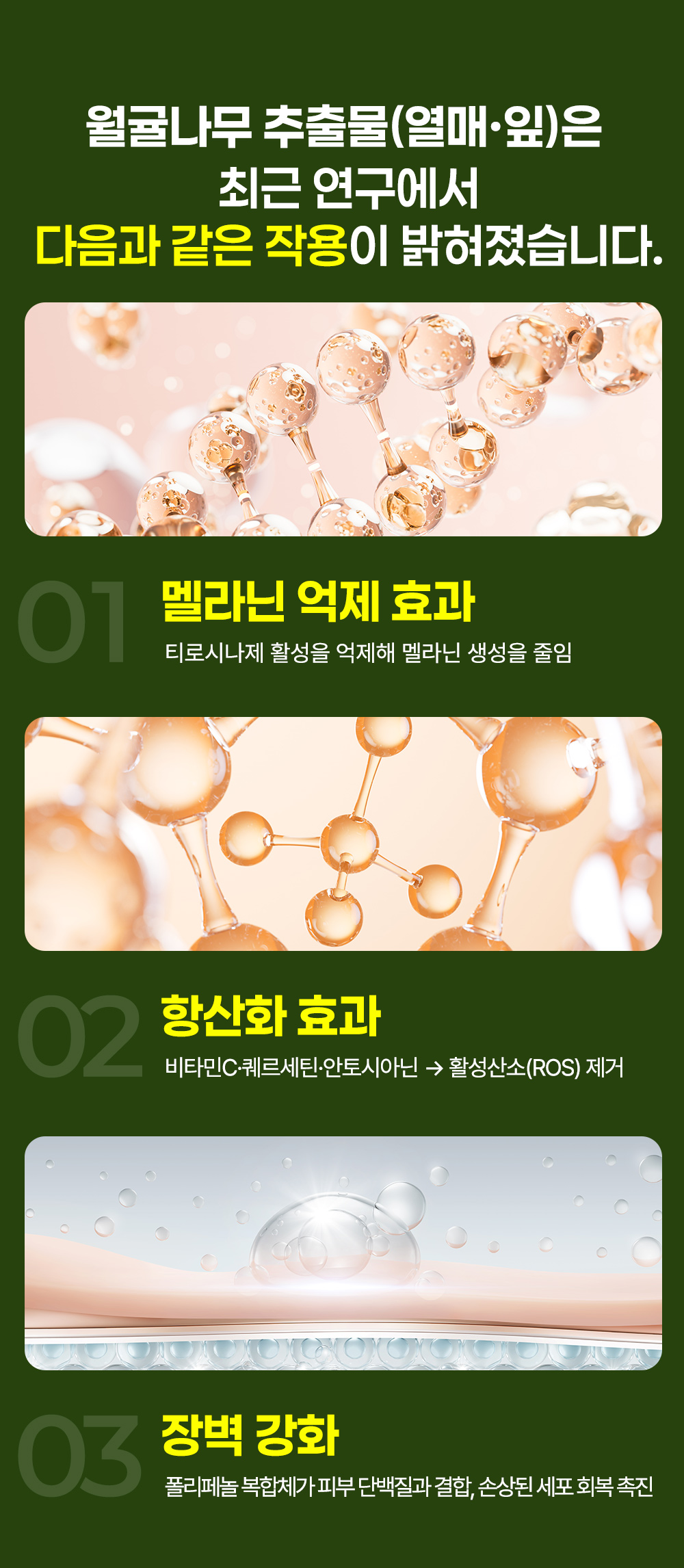 월귤4050_14.jpg