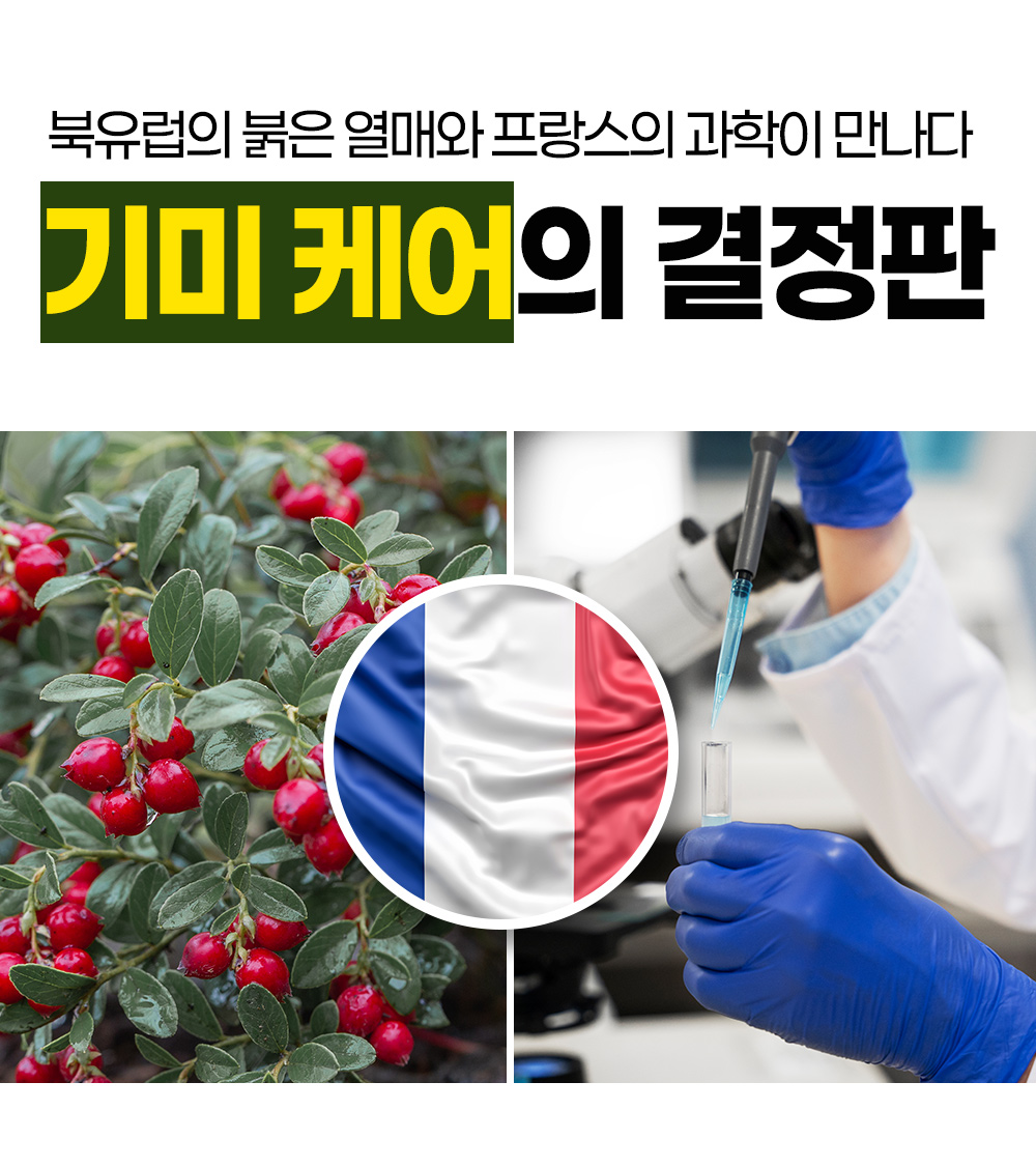 월귤4050_18.jpg