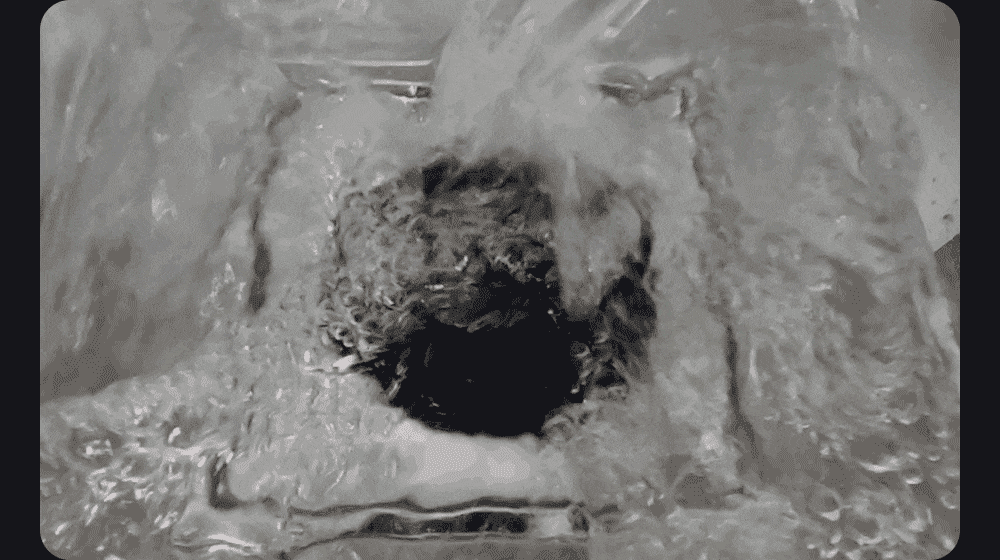 allbarodraintrap_19.gif