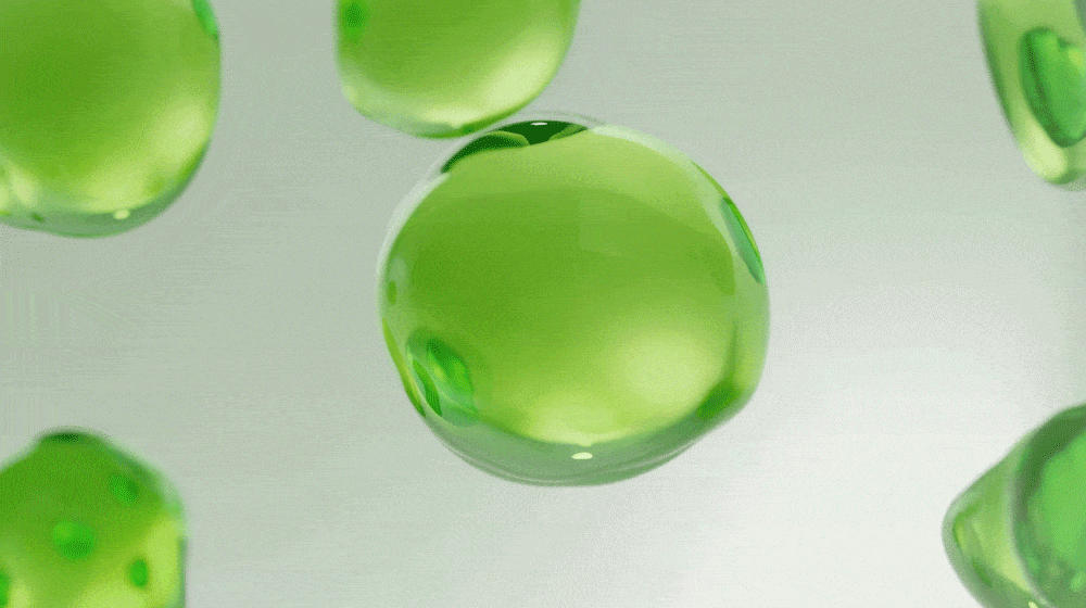 11.gif