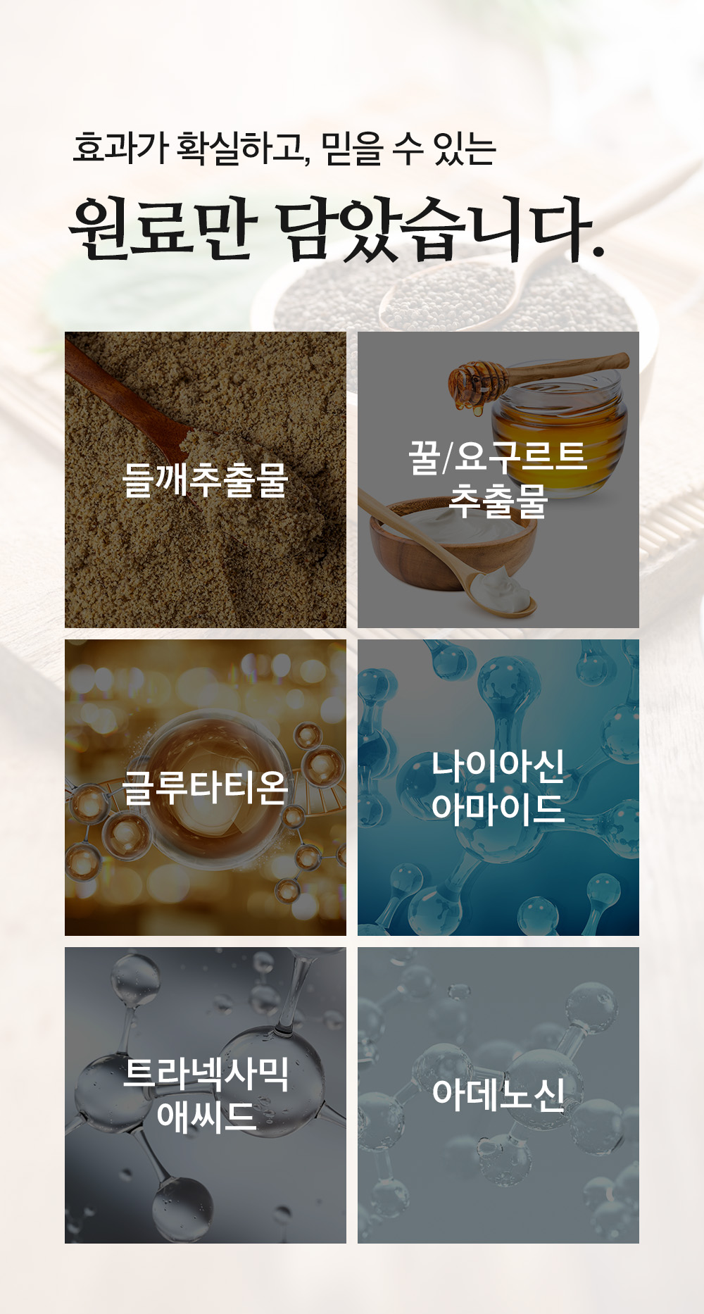 17_식약처대응.jpg