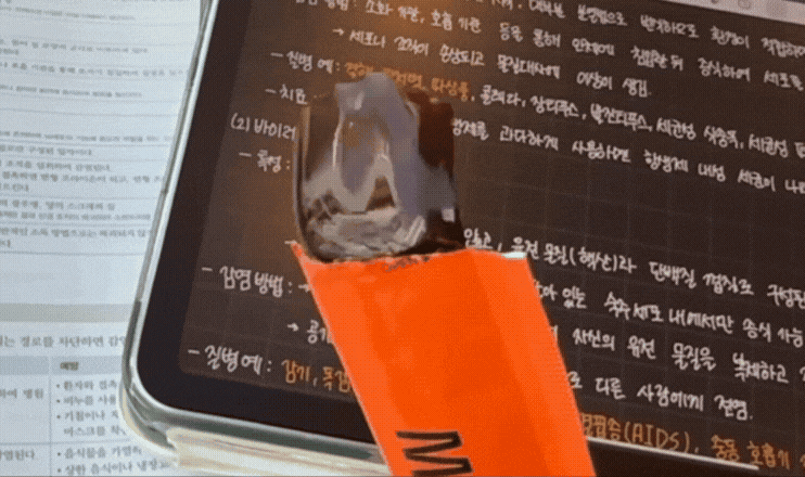 마스랩_03.gif
