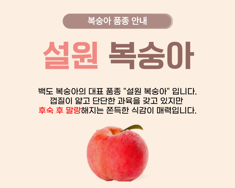 제목을-입력해주세요_-029.jpg
