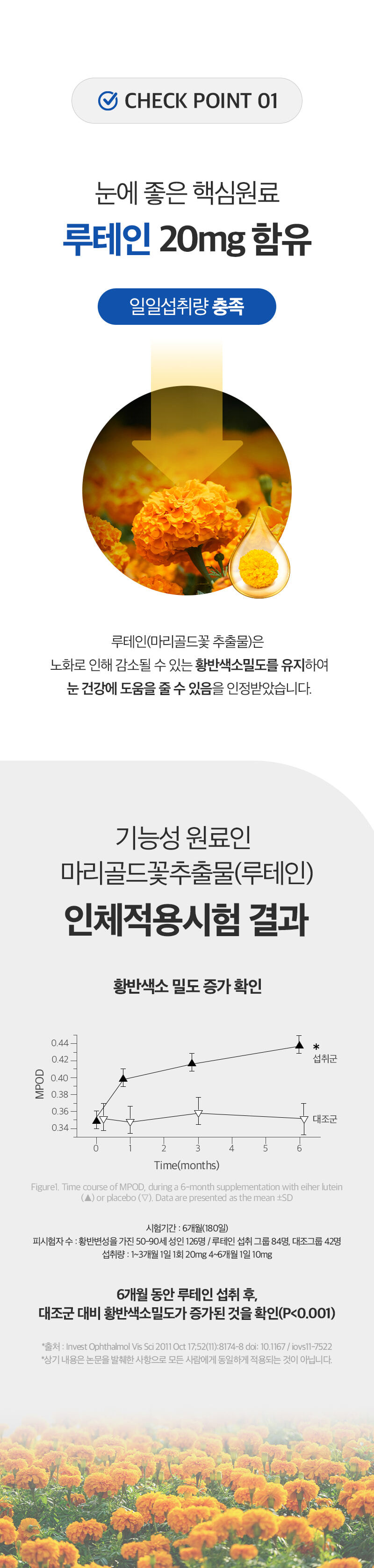 lu_03.jpg