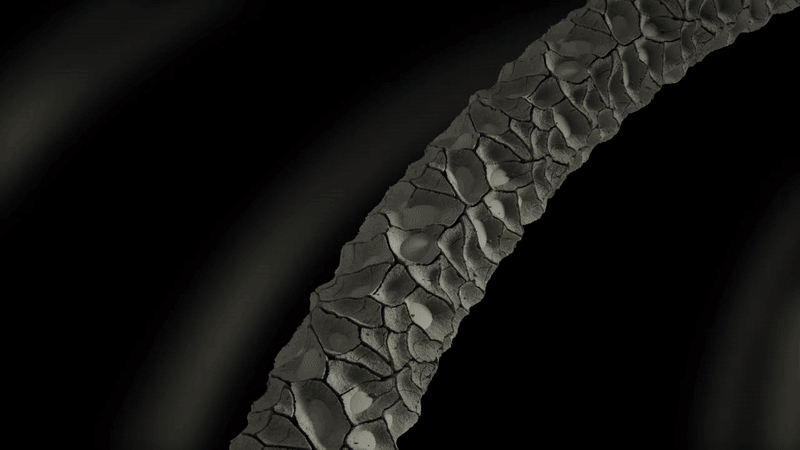 evevroell_26.gif